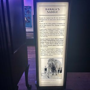 Kamala’s Saddle - Info Board