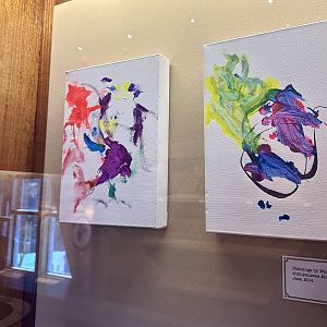 Wellington Zoo Chimpanzee Art