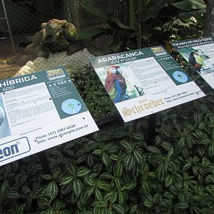 BioParque Zoo Pomerode - Signage