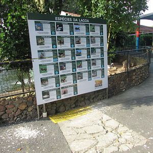 BioParque Zoo Pomerode - Waterfowl lake species list