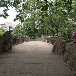 Panorama bridge with view of African lion and Alpaca exhibits, 2023-07-02