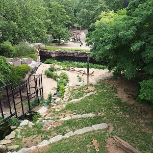 African lion exhibit seen from panorama bridge, 2023-07-02
