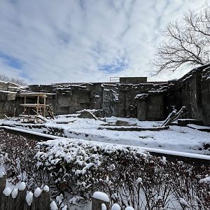 New Sloth Bear Habitat