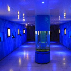 Marine tanks