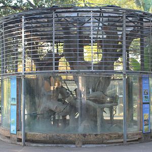 Parrot aviary