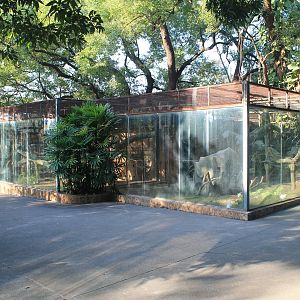 Parrot aviaries