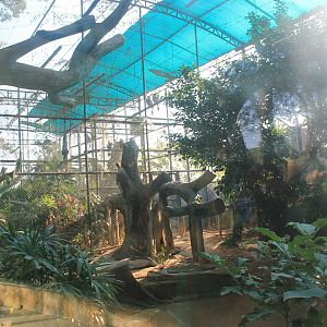 Hornbill aviaries