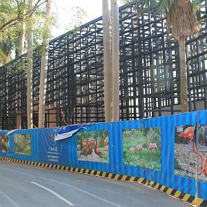 Aviaries under construction