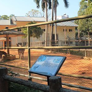 Zebra and Giraffe yards