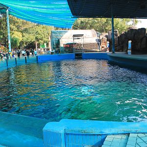 Dolphin / Seal pool