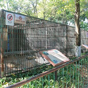 Asiatic Black Bear cages