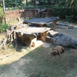 Brown Bear enclosure