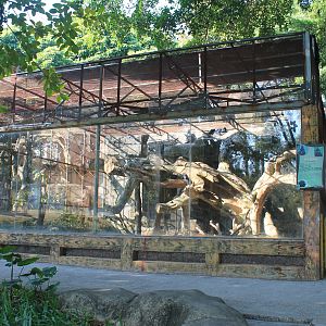 Black Mangabey cage