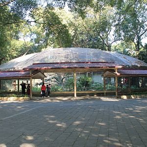 Francois' Langur cage
