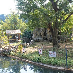 Chimpanzee enclosure