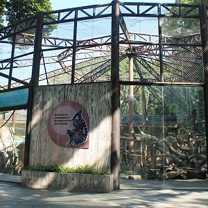 Ring-tailed Lemur cage