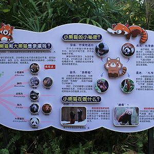Red Panda signage