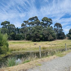 Waterbuck enclosure