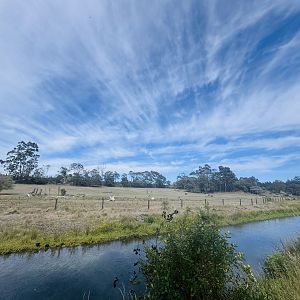 Southern White Rhino enclosure