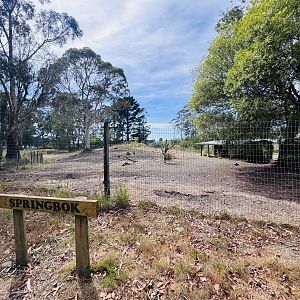 Springbok enclosure