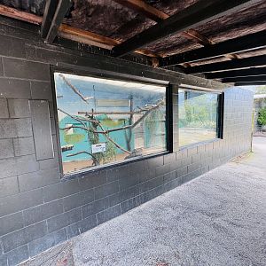 Ruffed lemur enclosure