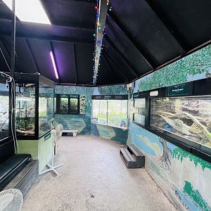 Reptile house interior