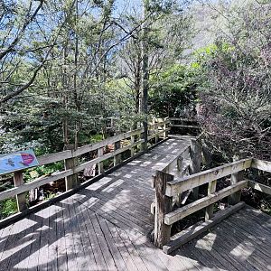 Kea walkthrough aviary
