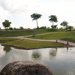 Serenga - Savanna exhibit, 2024-06-23