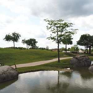 Serenga - Savanna exhibit, 2024-06-23