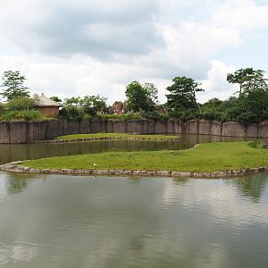 Serenga - Savanna exhibit - Defassa waterbuck islands, 2024-06-23