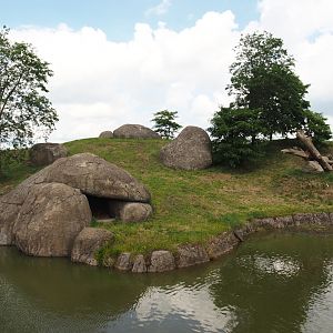 Serenga - African lion exhibit, 2024-06-23