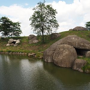 Serenga - African lion exhibit, 2024-06-23