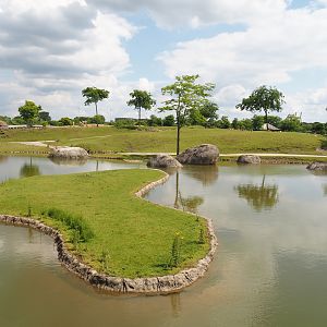 Serenga - Savanna exhibit and Defassa waterbuck island, 2024-06-23