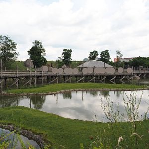 Serenga - Defassa waterbuck islands in savanna exhibit and boardwalk between savanna and lion exhibits, 2024-06-23