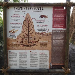 Serenga - Termite mounds signage, 2024-06-23