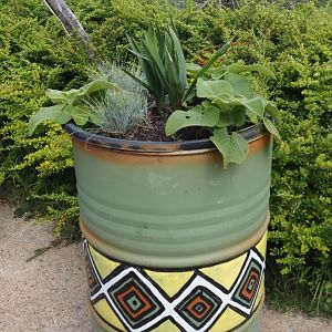 Serenga - Oil drum planter, 2024-06-23