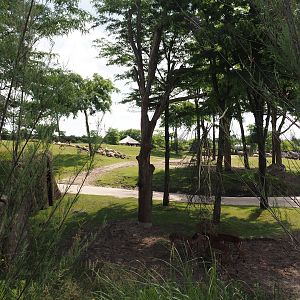 Serenga - Savanna exhibit, 2024-06-23