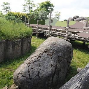 Serenga - Boardwalk above meerkat exhibit, 2024-06-23