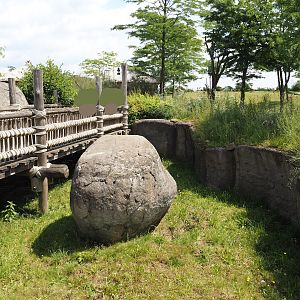 Serenga - Boardwalk above meerkat exhibit, 2024-06-23
