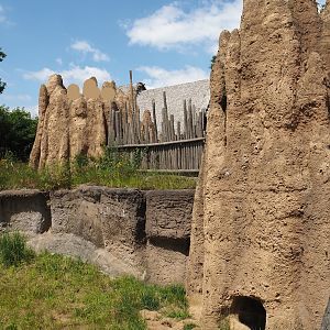 Serenga - Fake termite mounds and fence with meerkat viewing areas, 2024-06-23