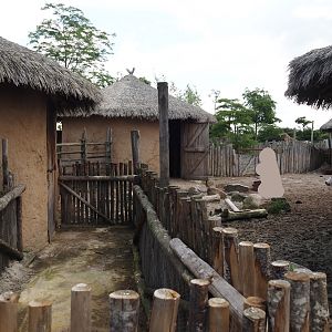 Serenga - Dwarf zebu paddock and keeper corridor between red river hogs and zebus, 2024-06-23