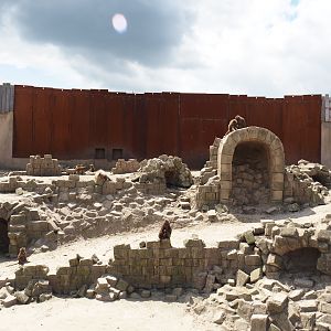 Serenga - Hamadryas baboon arena, 2024-06-23