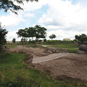 Serenga - Savanna exhibit, 2024-06-23