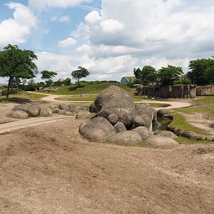 Serenga - Savanna exhibit, 2024-06-23