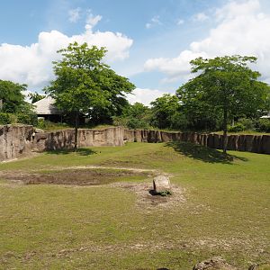 Serenga - Part of Savanna exhbit with mud wallow, 2024-06-23