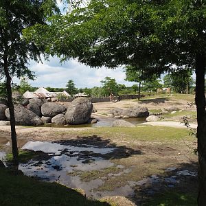 Serenga - Part of savanna exhibit with rocks, pond and mud wallow, 2024-06-23