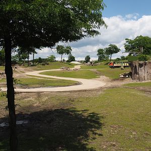 Serenga - Savanna exhibit, 2024-06-23