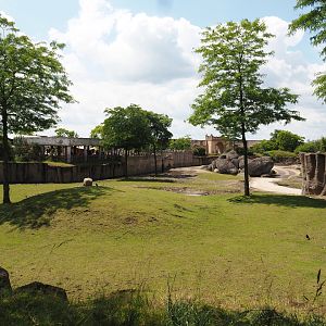 Serenga - Savanna exhibit, 2024-06-23