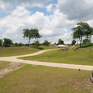 Serenga - Savanna exhibit, 2024-06-23