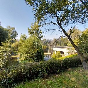 Zamocs Zoo - African Spoonbill aviary
